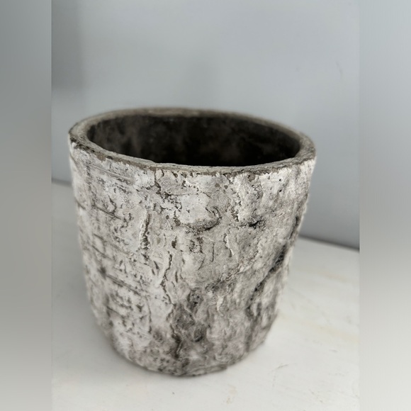 White Birch Textured Cylinder Planter Pot - Picture 4 of 8